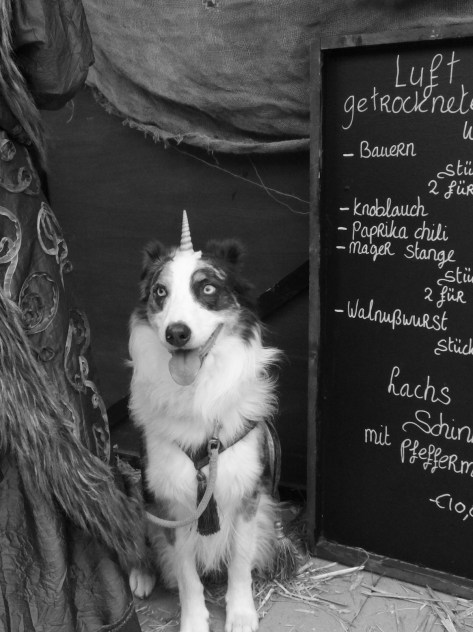 Marc Zimmer Dog Unicorn Dog